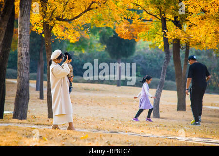 Mama, Papa und die Kinder spielen im Park. Stockfoto