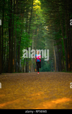 Foto von der Rückseite der Sport Frau durch Park unter Bäumen auf Sommer. Stockfoto