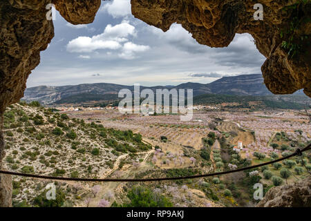Mandelbäume blühen in thevalley aus dem Inneren der Höhle Stockfoto