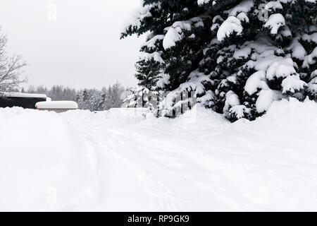 Der Garten unter frisch gefallenen Schnee. Winter in der Umgebung. Stockfoto