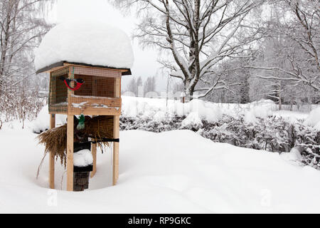 Ein Vogel Automaten in einen Garten. Alle abgedeckten unter frisch gefallenen Schnee. Winter. Stockfoto