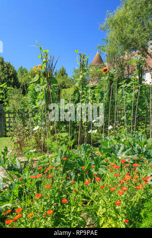 Orsan Garten, Frankreich: der blühende Garten mit Topf Ringelblume (Calendula officinalis) (obligatorisch Erwähnung der Garten Namen und keine adv Stockfoto