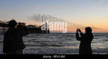 Brighton UK 20. Februar 2019 - Besucher und Vogelbeobachter genießen Sie eine spektakuläre Starling murmuration über Brighton Palace Pier an diesem Abend Stockfoto