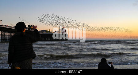 Brighton UK 20. Februar 2019 - Besucher und Vogelbeobachter genießen Sie eine spektakuläre Starling murmuration über Brighton Palace Pier an diesem Abend Stockfoto