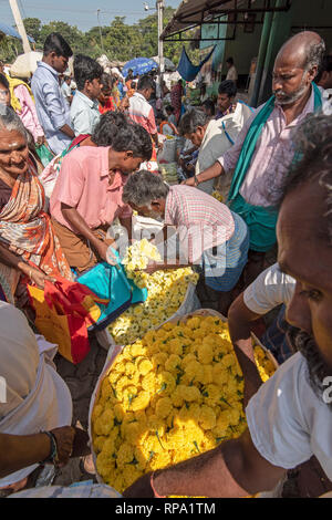 Eine Ansicht besetzt geschäftigen Menschen, einheimische Handel Kauf Verkauf von Blumen am Madurai Blumenmarkt in Indien. Stockfoto