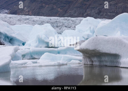 Fjallsárlón Gletschersee, Fjallsarlon, am Gletscher Gletscherlagune Fjallsjökull, Gletscherzunge, Gletschereis, Eis, Eisschollen, den Vatnajökull National Stockfoto