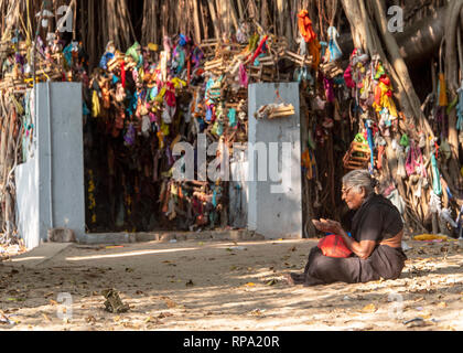 Eine einsame Frau im Gebet unter dem Schatten eines riesigen Banyan Tree in der Nähe des Shri Nambunayaki Amman Tempel in Tamil Nadu, Indien. Stockfoto