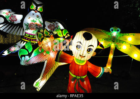 Christchurch, Neuseeland. 21 Feb, 2019. Foto am 13.02.21, 2019 zeigt eine Laterne zeigen zur Feier des Chinesischen Laternenfest in Christchurch, Neuseeland, Feb.21, 2019 übernommen. Credit: Li Qiaoqiao/Xinhua/Alamy leben Nachrichten Stockfoto