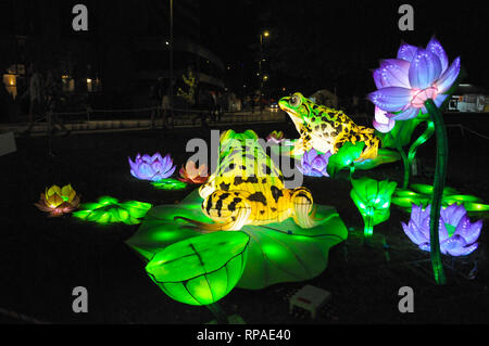 Christchurch, Neuseeland. 21 Feb, 2019. Foto am 13.02.21, 2019 zeigt eine Laterne zeigen zur Feier des Chinesischen Laternenfest in Christchurch, Neuseeland, Feb.21, 2019 übernommen. Credit: Li Qiaoqiao/Xinhua/Alamy leben Nachrichten Stockfoto