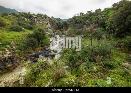 Sa'ar Wasserfall, kleinen Wasserfall an der Bergstraße, nördlichen Israel Stockfoto