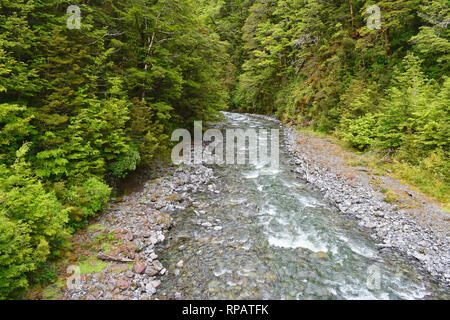 Einen sanften fließenden Fluss führt durch Urwald in Neuseeland Stockfoto