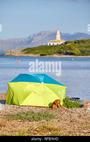 Mallorca, Spanien - 16. August 2018: ein Zelt mit der Bewachung Hund am Strand mit Alcanada Leuchtturm (Faro de Alcanada) erreichbar. Stockfoto