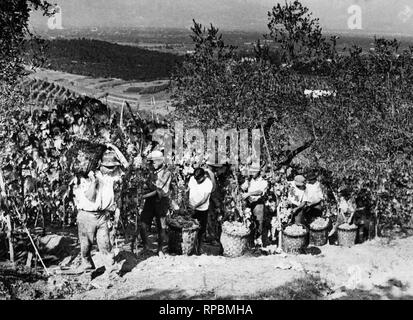 Italien, Toskana, Bauern während der Ernte 1920 Stockfoto