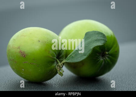 Nahaufnahme von grünen Indischen Ber, Ziziphus mauritiana, auch als chinesische Datum bekannt Stockfoto