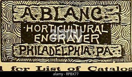 . Die amerikanische Florist: Eine wöchentliche Zeitschrift für den Handel. Blumenkultur ; Floristen. TANCr. DAGUEK. Von bis zu 15 cm lang, mit einem schönen dunklen Grün, für Bouquet Arbeit verwendet, Blumenkörbe, &Amp; c. &Amp; c. 1,50 $ pro 1000 Farne. oder Verpackung Moss ständig zur Hand; lange sauber Faser. Trocken oder Grün. $ t. 00 pro Bbl. oder sechs Fässer. Für $ 5,00. Bouquet Green, $ 2,00 pro Bbl. Hinsdale, Mass 10.000 EIL, Ecti "OS.. Orchideen. Den größten Bestand in Amerika von Orchideen für Schnittblumen. Sl3eoi £ JLl bieten^- SlEBRECHT&amp; WaDLEY, 409 Fifth Avenue, Rose Hill Baumschulen, NEW YORK. Palmen. Größte und Beste BILANZ DER Stockfoto