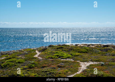 Grüne Landschaft und das blaue Meer bei Dynamite Bucht in grün Kopf in Westaustralien Stockfoto