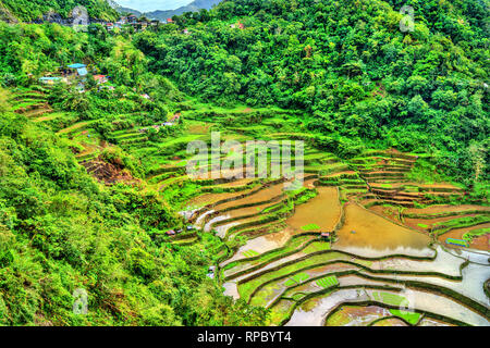 Bangaan Reisterrassen - Luzon, Philippinen Stockfoto