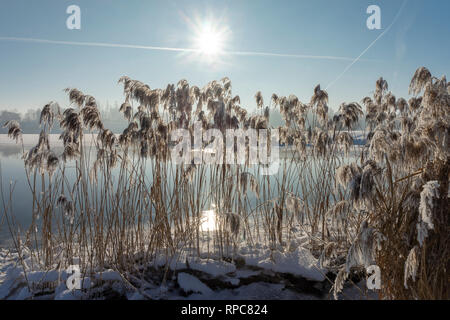 Kalten frostigen Winter Tag über einen ruhigen See mit Reflexionen und Morgennebel in einem Wetter und Jahreszeiten Konzept Stockfoto