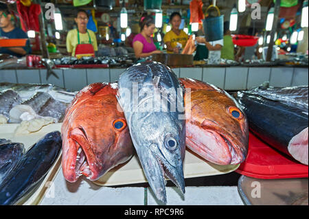 Stadt Puerto Princesa, Palawan, Philippinen - 24. Februar 2010: Drei grosse Fische zum Verkauf am zentralen Markt, mit Anbietern im Hintergrund Stockfoto