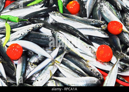 Jede Menge Makrelen, Galunggong Fisch auf einem Tablett, dekoriert mit Tomaten und Chili, am zentralen Markt in Puerto Princesa City, Palawan, Philippinen Stockfoto