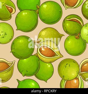 Macadamia vektor Muster auf farbigen Hintergrund Stock Vektor