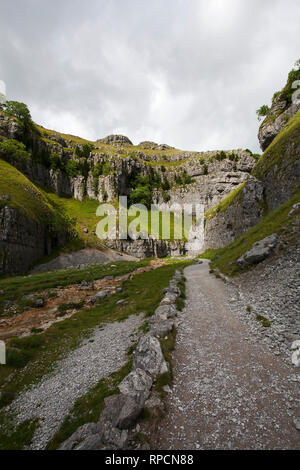 Fußweg zum Gordale Scar neben Gordale Beck in der Nähe von Malham Yorkshire Dales National Park Yorkshire England UK Juli 2016 Stockfoto