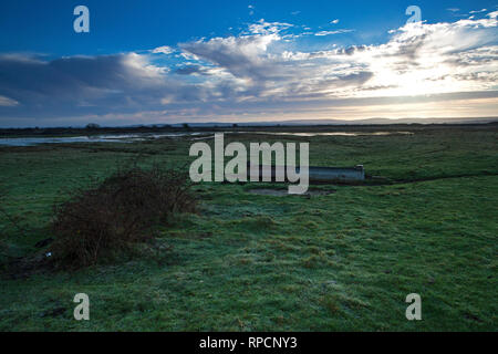 Blick über Süßwasser Sümpfen Pennington Sümpfe Lymington und Keyhaven Sümpfe Hampshire und Isle of Wight Wildlife Trust reservieren Hampshire England Großbritannien Stockfoto