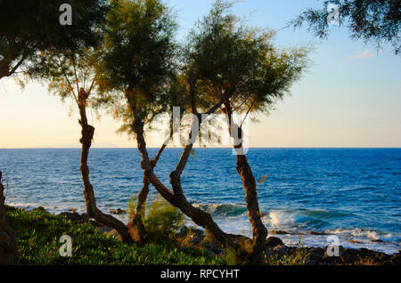 Felsige und sandige Küste von Sisi auf Kreta in Griechenland mit Bäumen wachsenden daneben Stockfoto