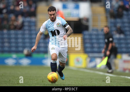 BLACKBURN, Großbritannien 17. FEBRUAR Adam Armstrong von Blackburn Rovers während der Sky Bet Championship Match zwischen Blackburn Rovers und Middlesbrough im Ewood Park, Blackburn am Sonntag, 17. Februar 2019. (Credit: Mark Fletcher | MI Nachrichten) Stockfoto