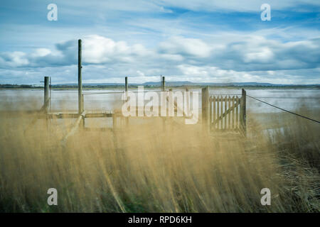 Einen hölzernen Steg am Fluss Severn. Stockfoto