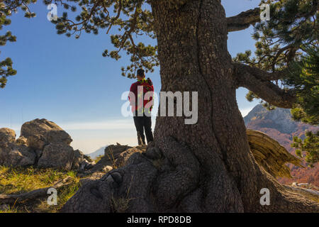 Serra di Crispo, Parco Nazionale del Pollino, Italia. Stockfoto