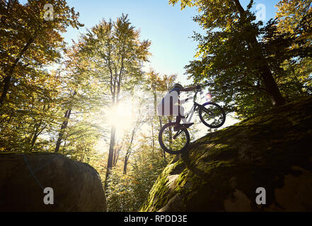 Silhouette von Radprofi reiten auf Hinterrad auf Versuch Fahrrad, Sportler, akrobatische Stunts am Rande des Big Boulder im Wald im Sommer sonnigen Tag. Konzept der Extreme Sport Stockfoto