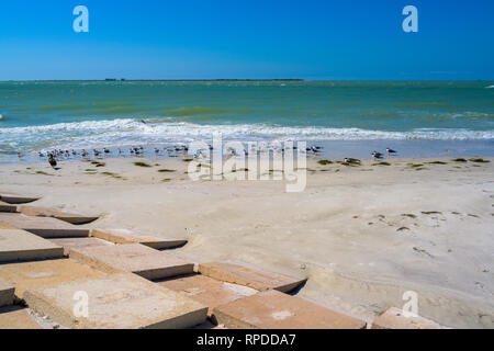 Ein Wide-angle Shot von Möwen aufgereiht auf einem Strand in der Nähe der Ufermauer. Stockfoto