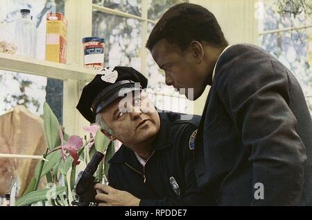 STEIGER, POITIER, IN DER HITZE DER NACHT, 1967 Stockfoto