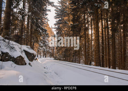 Die Bahn durch Winter wald landschaft, Nationalparks Harz, Deutschland Stockfoto