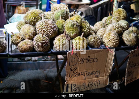 Durian - eine exotische Frucht mit einem sehr unangenehmen und scharfen Geruch ist auf dem Markt in Malaysia verkauft. Im Bild geschrieben 'Durian Kampung" im Sinne der Villa Stockfoto