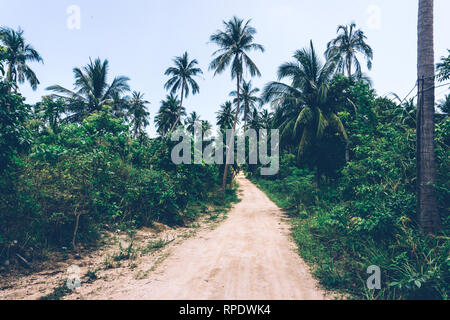 Tropischen Dschungel. Schmutz der Straße im Dschungel. Thailand, Südostasien. Tropischen Regenwald. Bananen Palmen. Ausblicke auf die Landschaft. Stockfoto