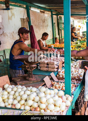 Havanna, Kuba - vom 25. Juli 2018: Einkauf in einem freien Markt für Erzeugnisse, die in der Altstadt von Havanna, Kuba. Stockfoto