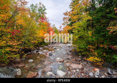 Stream in den White Mountains, New Hampshire während der Spitzenzeiten Blatt Farbe Jahreszeit entfernt Stockfoto