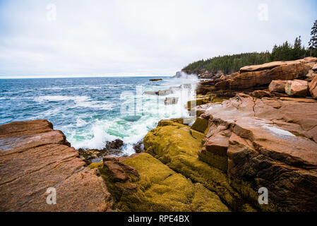 Blick von der Küstenlinie in Acadia National Park, Maine Stockfoto