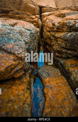 Blick von der Küstenlinie in Acadia National Park, Maine Stockfoto