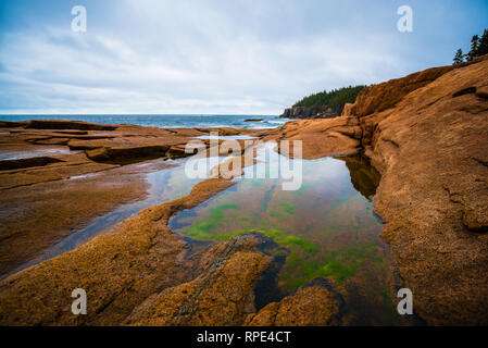 Blick von der Küstenlinie in Acadia National Park, Maine Stockfoto