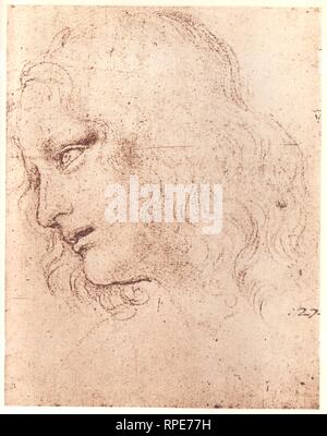 STUDIE FÜR DEN KOPF VON PHILIP. LEONARDO DA VINCI Stockfoto