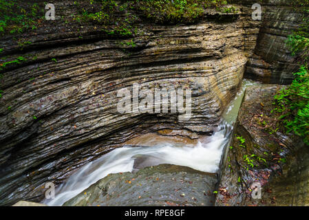 Szene von Watkins Glen State Park, NY Stockfoto