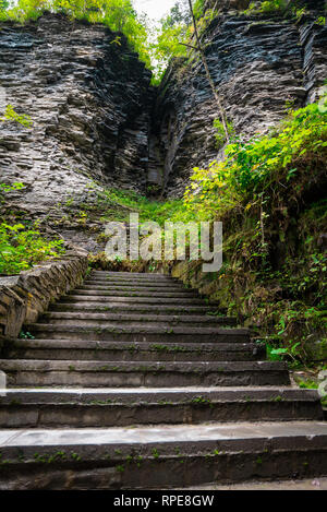 Szene von Watkins Glen State Park, NY Stockfoto