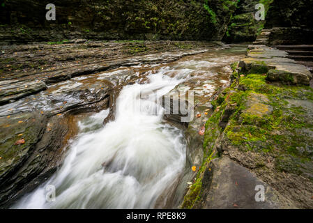 Szene von Watkins Glen State Park, NY Stockfoto