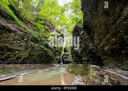 Szene von Watkins Glen State Park, NY Stockfoto