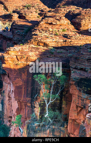 Watarrka (Kings Canyon) National Park, Northern Territory, Australien. Stockfoto