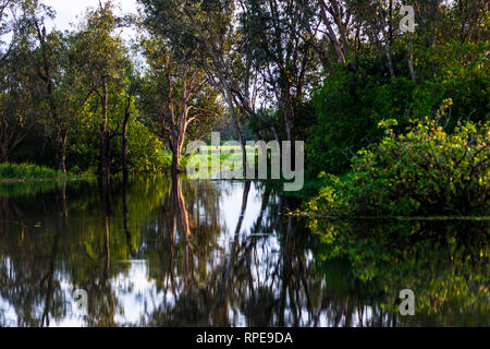 Überschwemmten Feuchtgebieten während der nassen Jahreszeit, Kakadu National Park, Northern Territory, Australien. Stockfoto