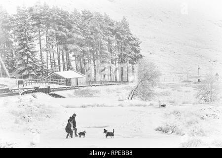 Paar spielen mit Hunden im Schnee an einem kalten Wintertag mit Schnee und Raureif an Rannoch Moor, Glencoe, Scottish Highlands, Schottland Großbritannien im Januar Stockfoto
